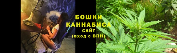 прущие грибы Россошь