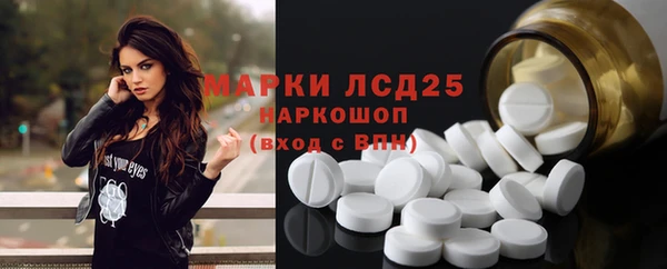 прущие грибы Россошь