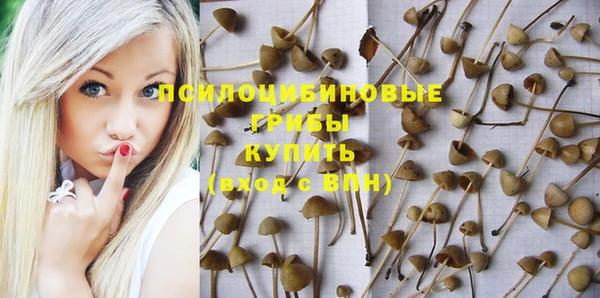 альфа пвп Рославль