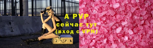 прущие грибы Россошь