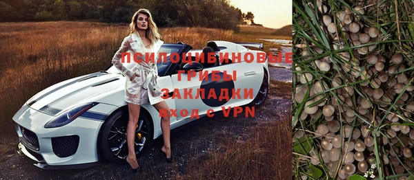 прущие грибы Россошь