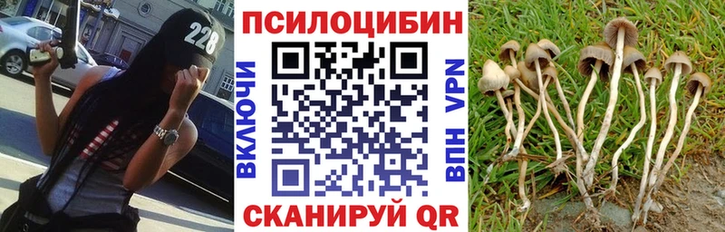 Галлюциногенные грибы мухоморы  МЕГА   Стрежевой 
