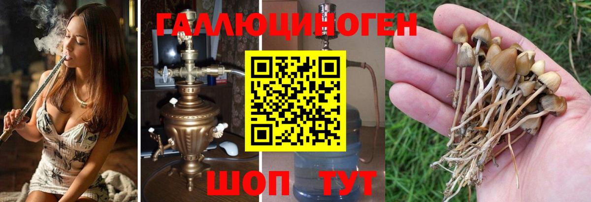 Стрежевой  MDMA  Вход с VPN  Каннабис  Купить наркотик  Мефедрон   Гашиш  COCAIN  Героин 