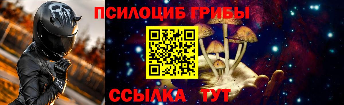 Галлюциногенные грибы Psilocybine cubensis  закладка  Вход с VPN  Стрежевой  Галлюциногенные грибы мицелий 